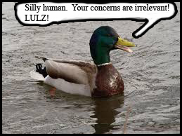 Creativity and red&nbsp;pills